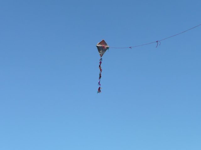p1050058
