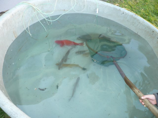 p1050078