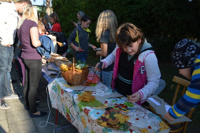 dsc_1585