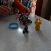 dscn8443