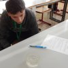 dscn8787