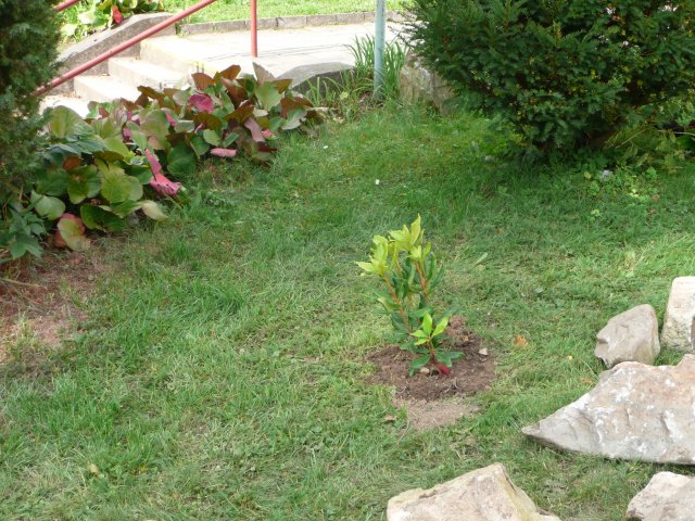 p1040936