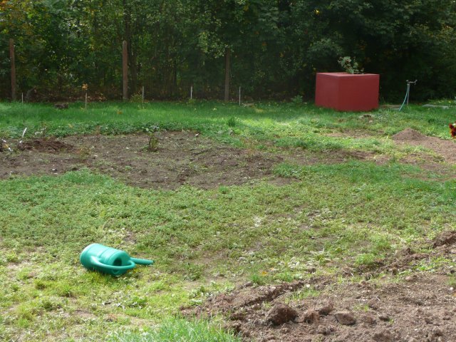 p1040938