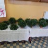 dscn6140