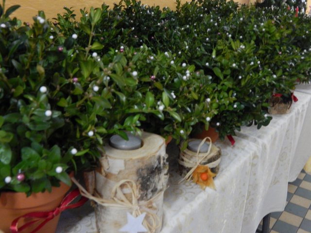 dscn0059