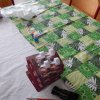 dscn0085