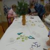 dscn0206