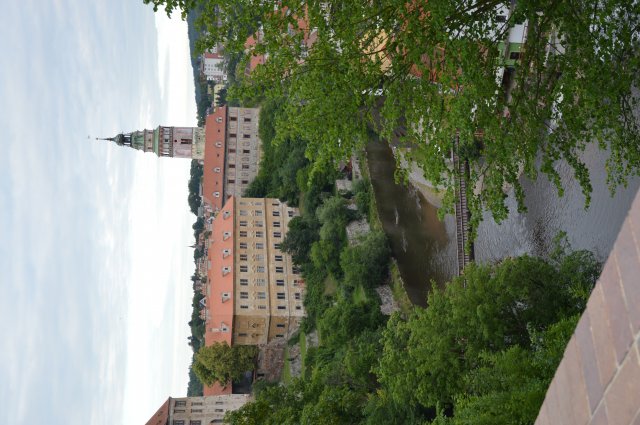 dsc_0232