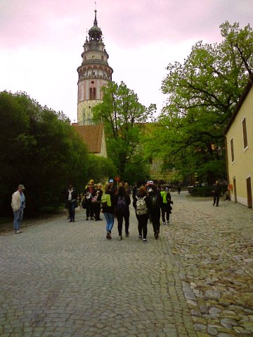 obraz0787