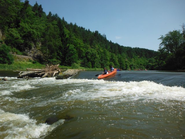 dscf2498