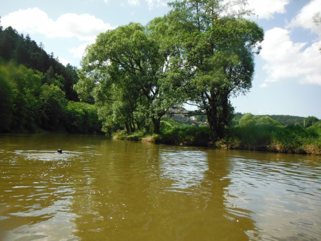 dscf2549
