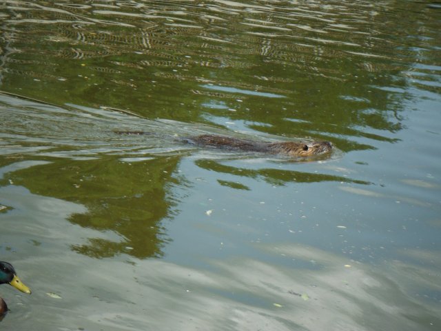 dscf2563