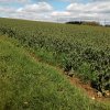 img_20170502_110607