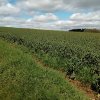 img_20170502_110611