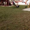 img_20170502_113304