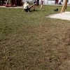 img_20170502_113345