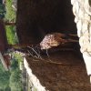 20170529_132407
