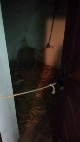 img-20170623-wa0006