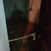 img-20170623-wa0006