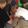 img_20170623_113558