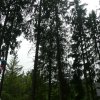 p1080908
