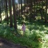 dscn4013