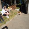 dscn4182