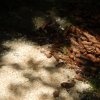 dscn0611