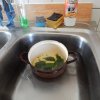 dscn0809