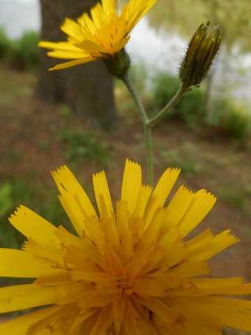 dscn8544