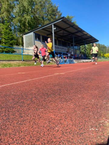 c893f2d6-9bd7-4c0f-b099-6582d0b6bf2e