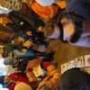 img_20220223_090309_1