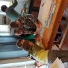 img_20220223_103416