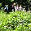 img_20220617_110335