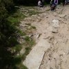 img_20220617_130337
