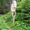 img_20220617_174705