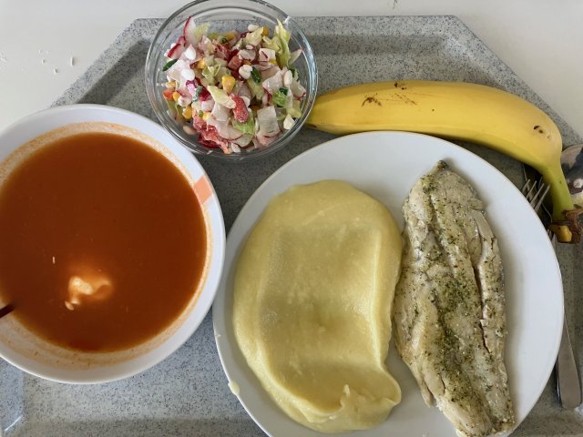 polévka z červené řepy, okoun nilský s bramborovou kaší