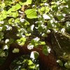 dscn0893