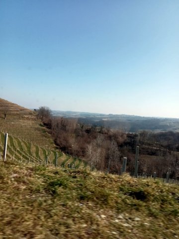 img-20230210-wa0024