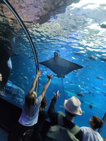 img_20260922_100311