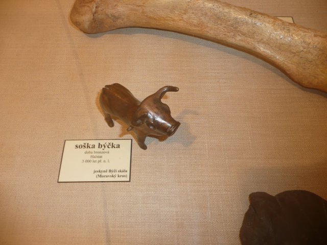 p1020009