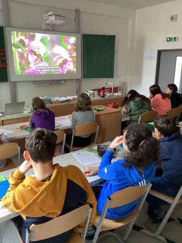 ikap_etologie_ptaku_4