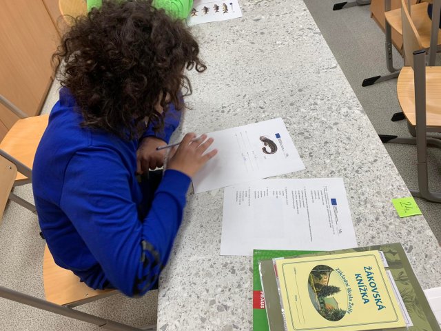 243499390_400981941551254_379113741206337648_n