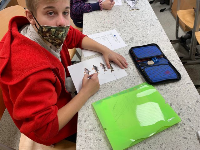 248897204_246998054129836_8774669810655734572_n