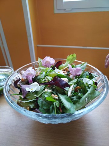 photo-2023-04-05-14-56-00_1