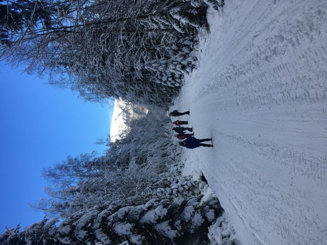 20220112_120415804_ios