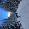 20220112_120415804_ios