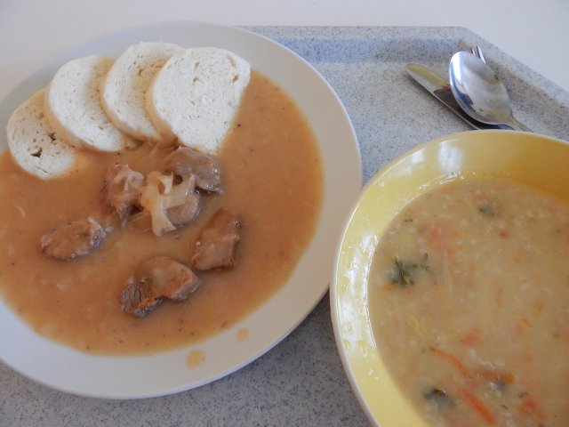 zeleninová s ovesnými vločkami, segedín, houskový knedlík