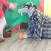 dscn9055