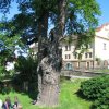 img_6786